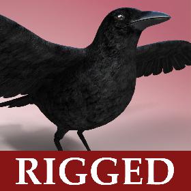 Crow - Rigged